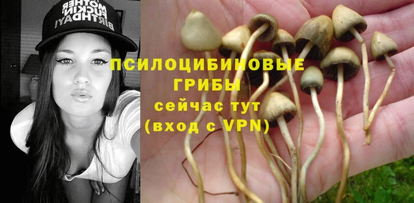 бошки Абдулино