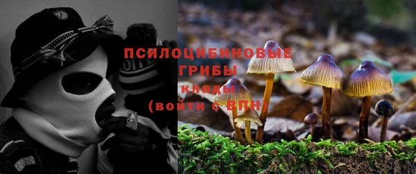 бошки Абдулино