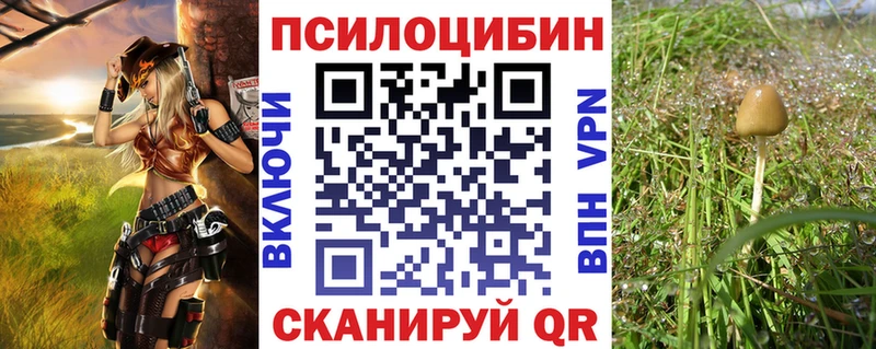 Псилоцибиновые грибы Cubensis маркетплейс какой сайт Сызрань